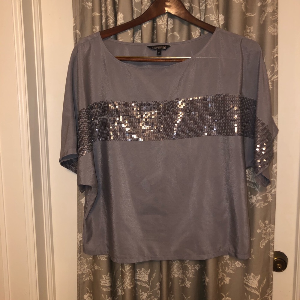 Express Glitzy Dress Top